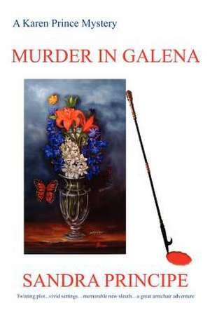 Murder in Galena de Sandra Principe