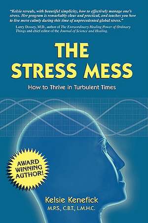 The Stress Mess: How to Thrive in Turbulent Times de Kelsie Kenefick