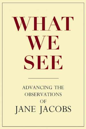 What We See – Advancing the Observations of Jane Jacobs de Stephen A. Goldsmith