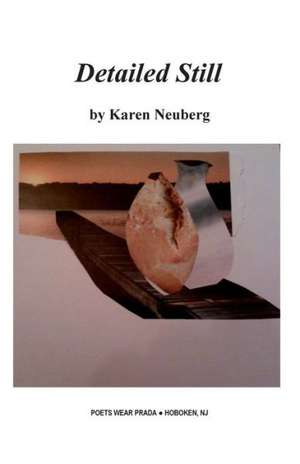 Detailed Still: Poems de Karen Neuberg