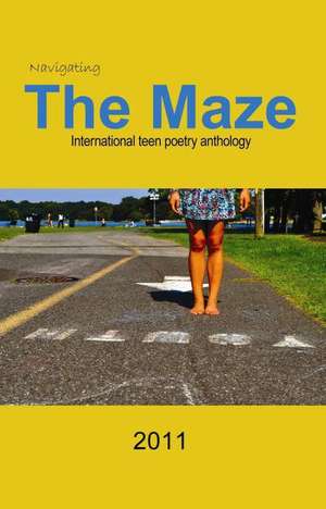 Navigating the Maze de Anita Stienstra