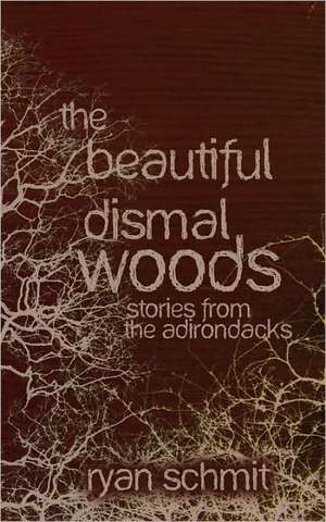 The Beautiful Dismal Woods: Short Stories from the Adirondacks de Ryan Schmit