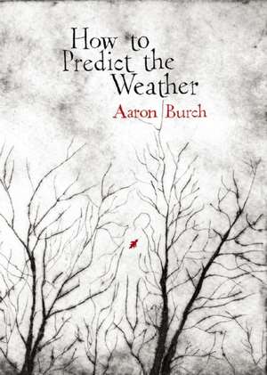 How to Predict the Weather de Aaron Burch