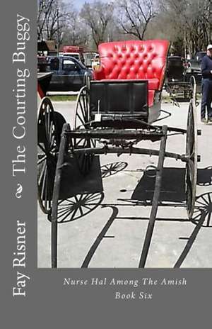 The Courting Buggy: Nurse Hal Among the Amish de Fay Risner