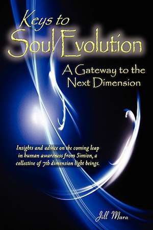 Keys to Soul Evolution de Jill Elizabeth Mara