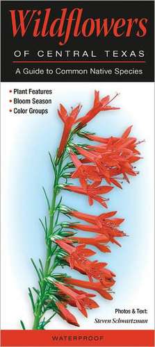 Wildflowers of Central Texas: A Guide to Common Native Species de Steven Schwartzman