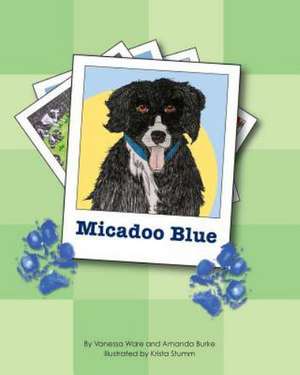 Micadoo Blue: Stripping Down to Money and Marriage de Amanda Burke