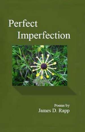 Perfect Imperfection de James D. Rapp