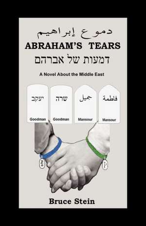 Stein, B: ABRAHAM'S TEARS
