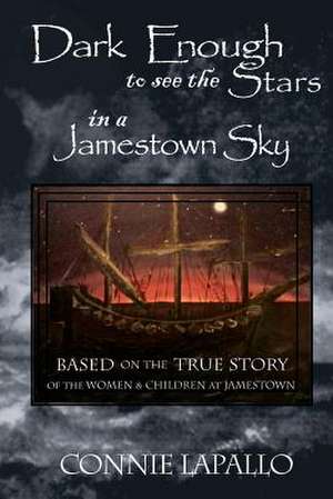 Dark Enough to See the Stars in a Jamestown Sky