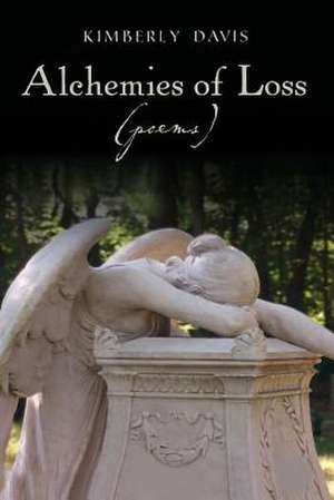 Alchemies of Loss (Poems) de Kimberly Davis