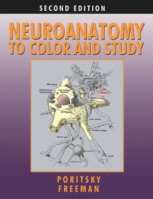 Neuroanatomy to Color and Study de Ray Poritsky