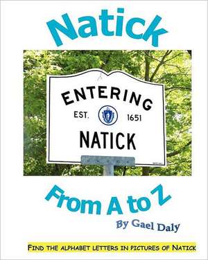 Natick from A to Z: A Road to Healing de Gael Daly