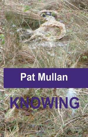 Knowing: Tough Answers to the Tough Questions Christians Ask de Pat Mullan