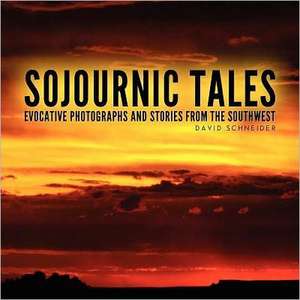 Sojournic Tales de David Schneider