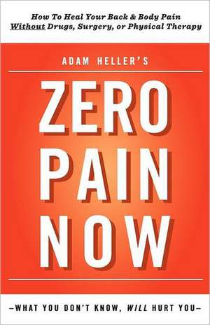 Adam Heller's Zero Pain Now: Stories and a Novella de Adam B. Heller