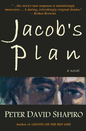 Jacob's Plan de Peter David Shapiro