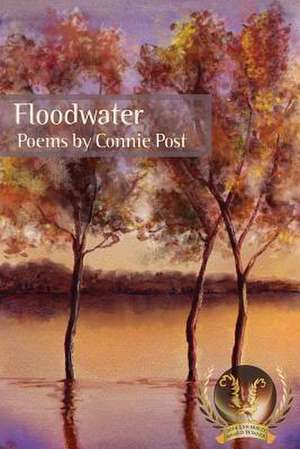 Floodwater de Connie Post