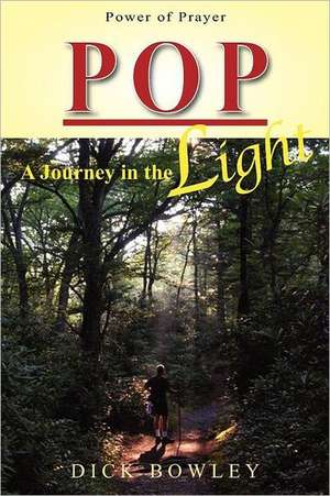 Pop: A Journey in the Light de Dick Bowley