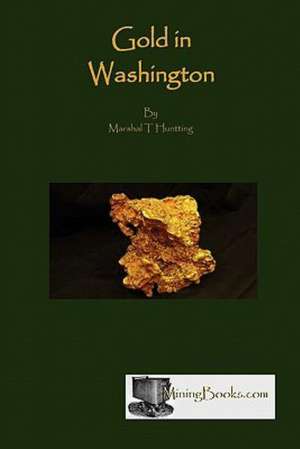 Gold in Washington de Marshall T. Huntting