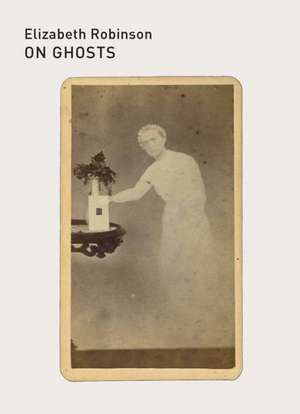 Robinson, E: On Ghosts