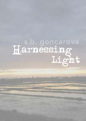 Harnessing Light de S. B. Goncarova