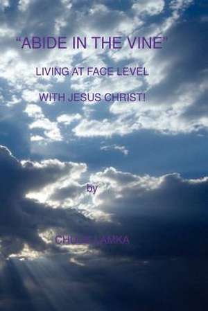 Abide in the Vine Living at Face Level with Jesus Christ: Free and Cheap Marketing Tips for Musicians de MR Chuck Lamka