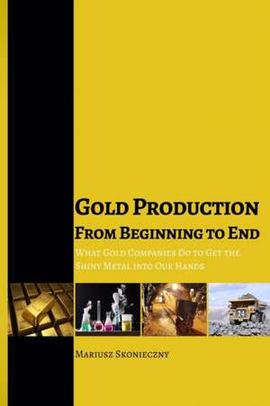 Gold Production from Beginning to End de Mariusz Skonieczny