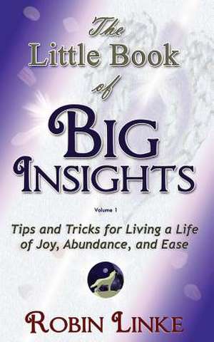 The Little Book of Big Insights Volume I: Tips and Tricks for Living a Life of Joy, Abundance, and Ease de Robin Linke