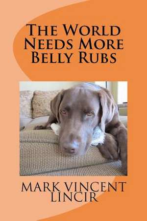 The World Needs More Belly Rubs: Studio Work de Mark Vincent Lincir