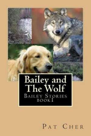 Bailey and the Wolf: Generally Accepted Practice in Enterprise Software Development de Pat Cher