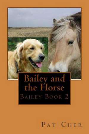 Bailey and the Horse: Generally Accepted Practice in Enterprise Software Development de Pat Cher