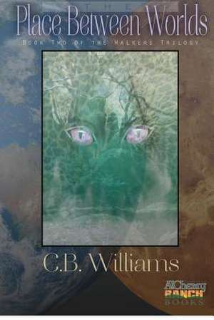 The Place Between Worlds de C. B. Williams