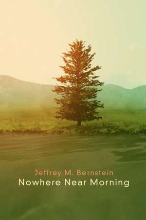 Nowhere Near Morning de Jeffrey M. Bernstein