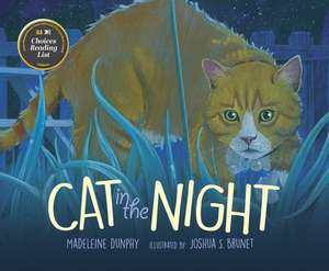 Cat in the Night de Madeleine Dunphy