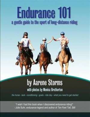 Endurance 101 de Aarene Storms