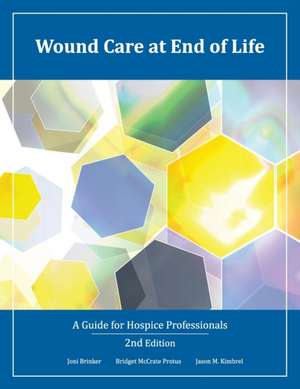 Wound Care at End of Life: A Guide for Hospice Professionals de Bridget McCrate Protus