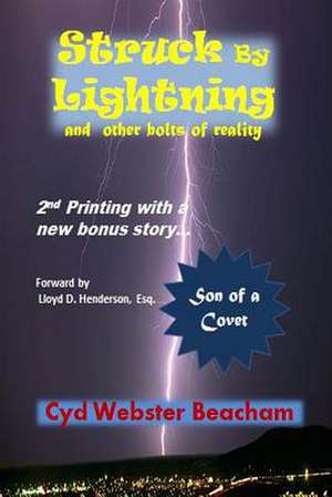 Struck by Lightning and Other Bolts of Reality de Cyd Webster Beacham