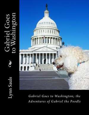 Gabriel Goes to Washington de Sauls, Lynn B.