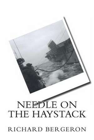 Needle on the Haystack de Richard Bergeron