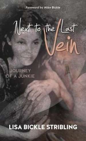 Next to the Last Vein de Lisa B. Stribling