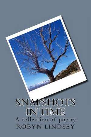 Snapshots in Time de Robyn Lindsey