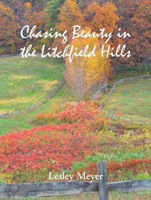 Chasing Beauty in the Litchfield Hills de Lesley Meyer