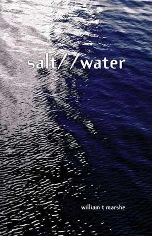 Salt/ /Water de William Marshe