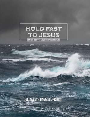 Hold Fast to Jesus: An in-depth study of Hebrews de Elizabeth Bagwell Ficken