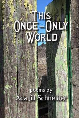 This Once-Only World: An Oral History of Fall River, Massachusetts, from 1900 to 1950 de Ada Jill Schneider