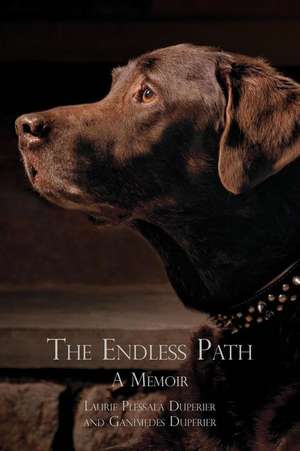 The Endless Path de Laurie Plessala Duperier