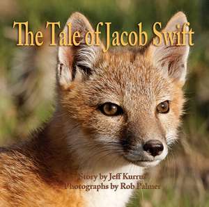 The Tale of Jacob Swift de Jeff Kurrus