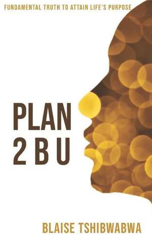 Plan 2 B U de Blaise Tshibwabwa