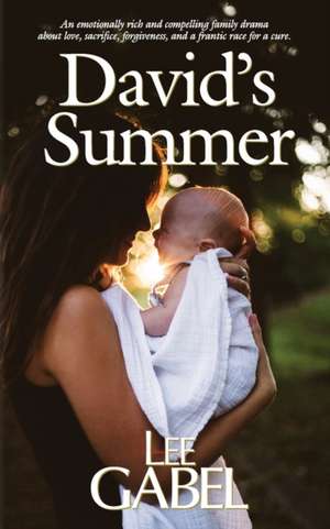 David's Summer de Lee Gabel